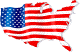 U. S. Flag